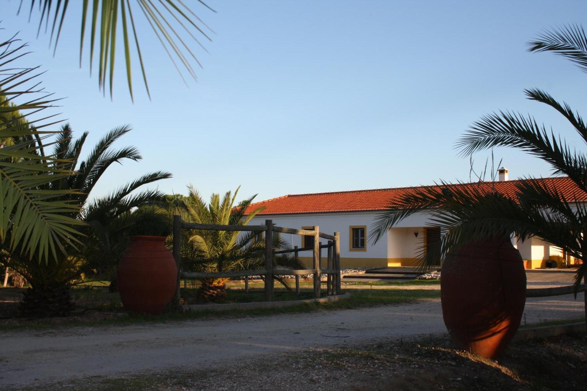 Monte Macario Alojamento Local Coruche Exterior photo